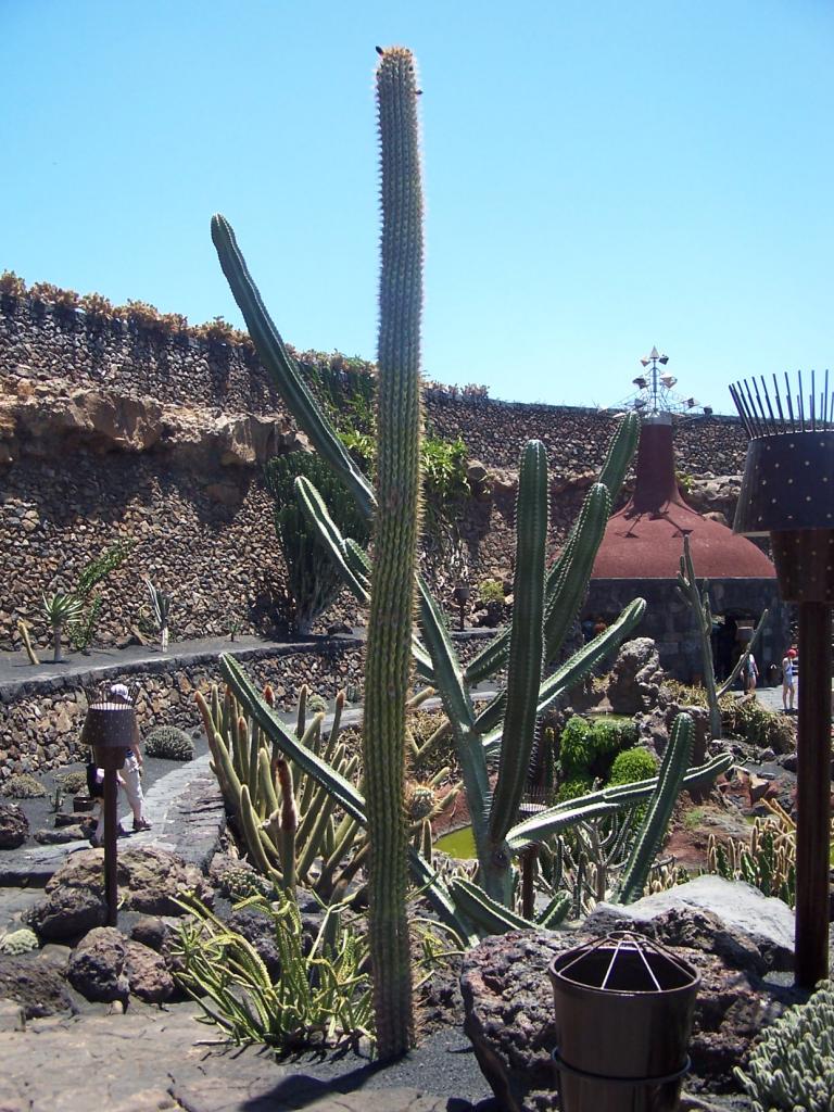 Foto de Lanzarote (Las Palmas), España