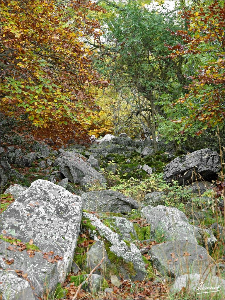 Foto de San Martin de Moncayo (Zaragoza), España