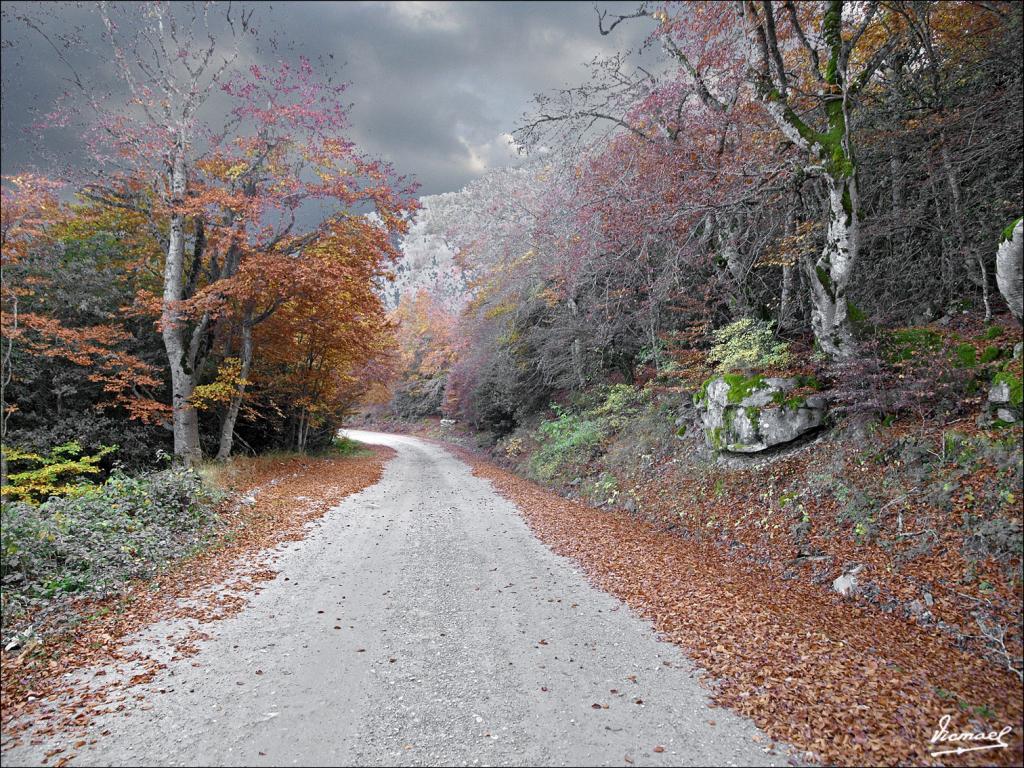 Foto de San Martin de Moncayo (Zaragoza), España