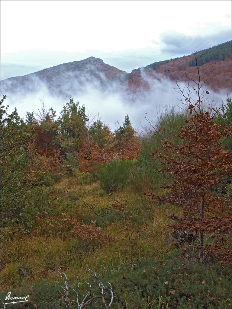 Foto de San Martin de Moncayo (Zaragoza), España