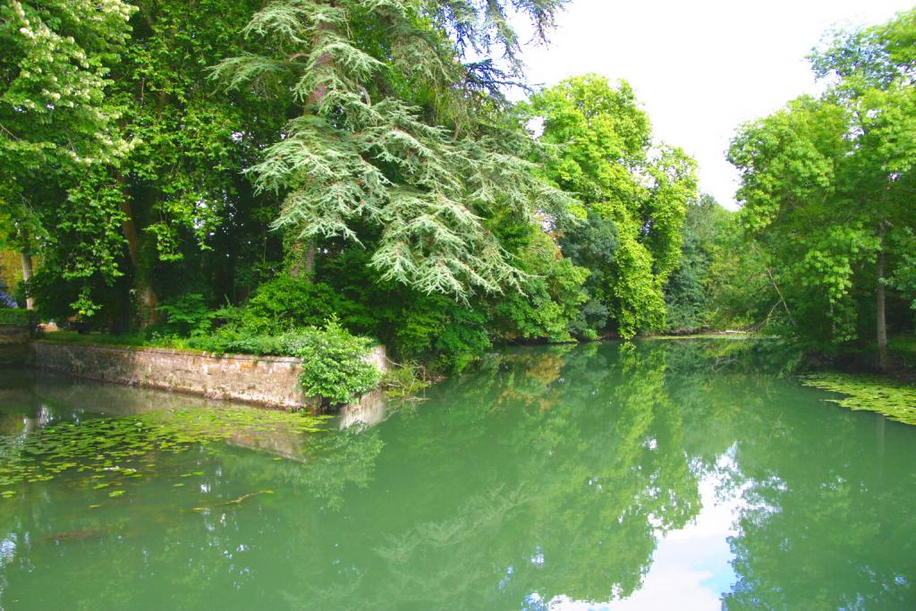 Foto de Azay-le-Rideau, Francia