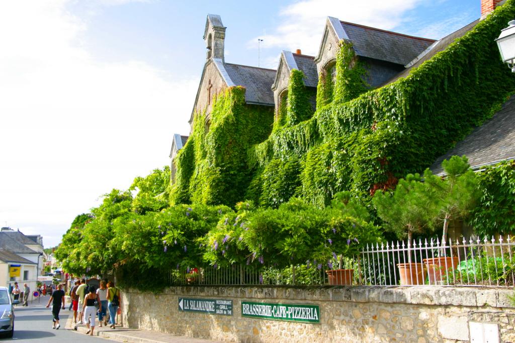 Foto de Azay-le-Rideau, Francia