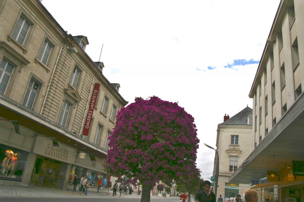 Foto de Tours, Francia