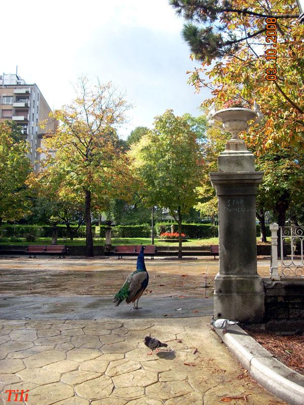 Foto de Oviedo (Asturias), España