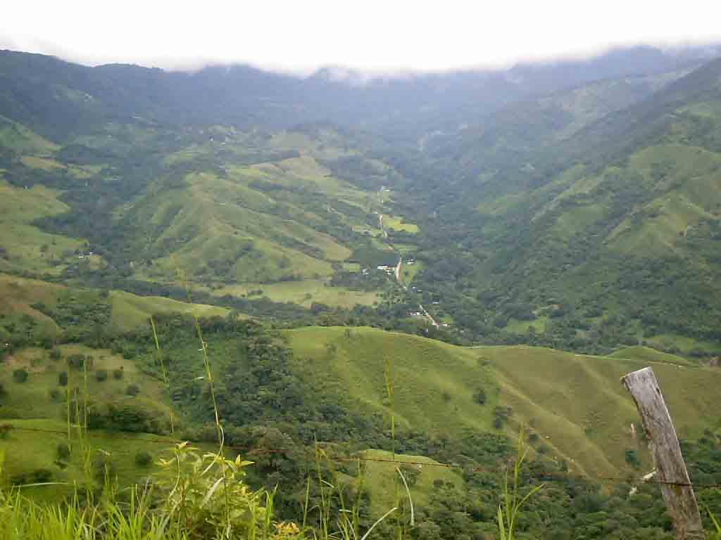 Foto de Monte Verde (Puntarenas), Costa Rica