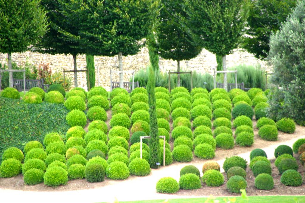 Foto de Amboise, Francia