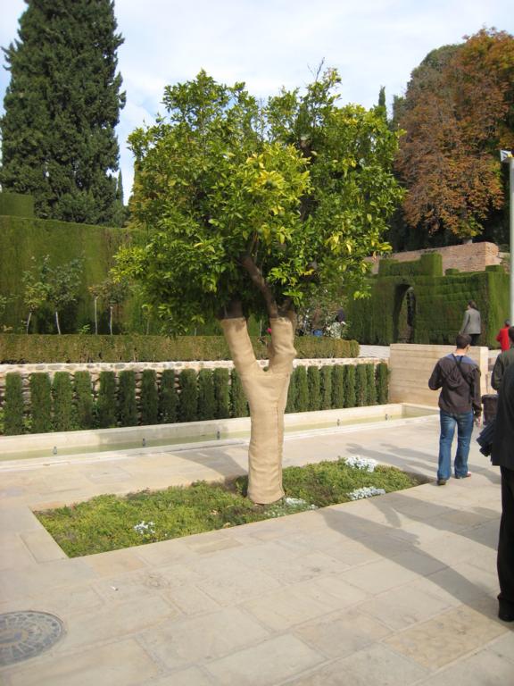 Foto de Granada (Andalucía), España