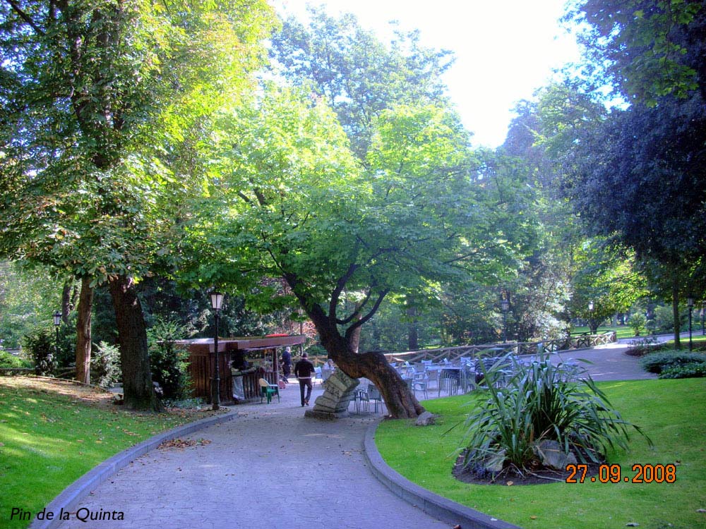 Foto de Oviedo (Asturias), España