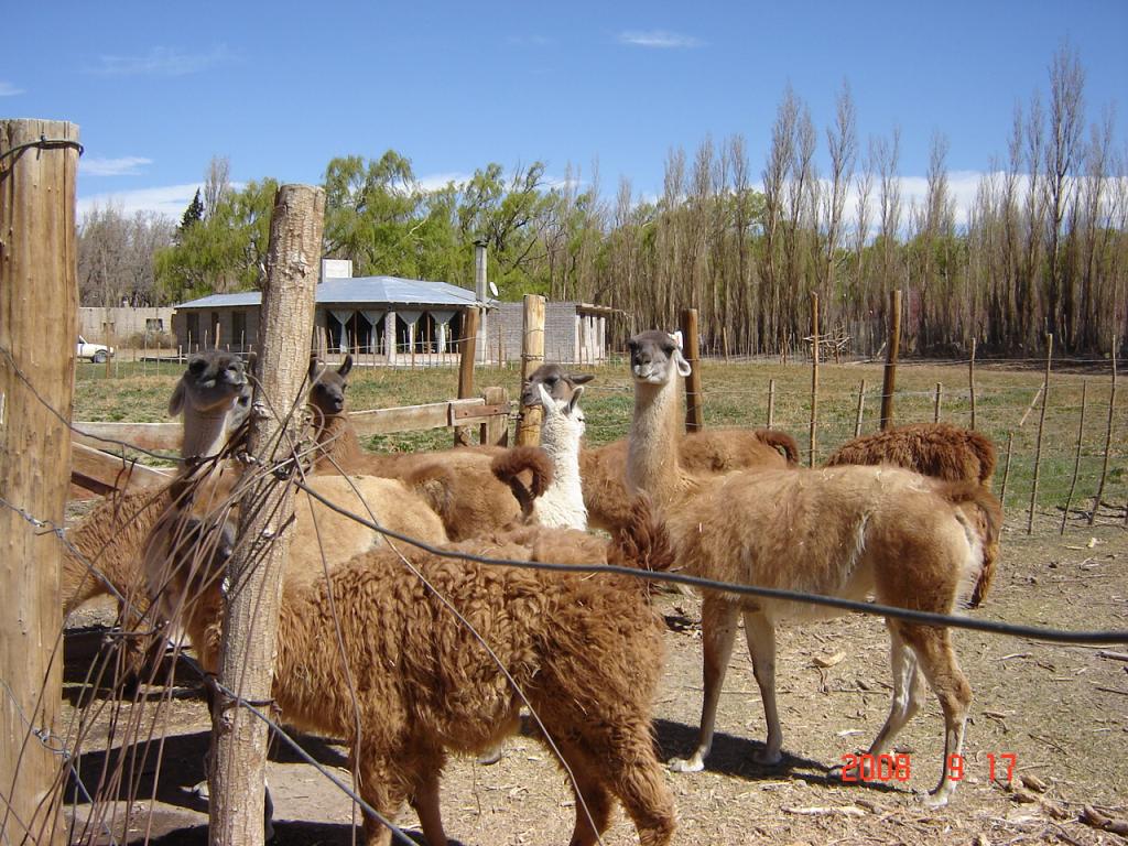 Foto de Rodeo (San Juan), Argentina