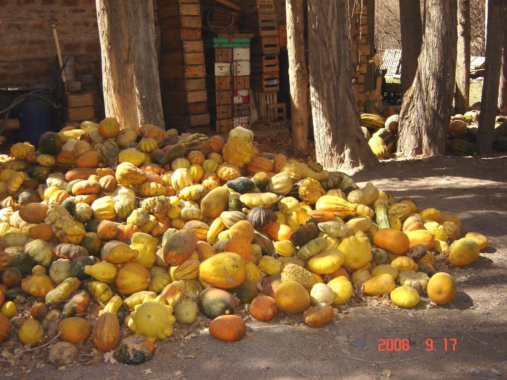 Foto de Rodeo (San Juan), Argentina