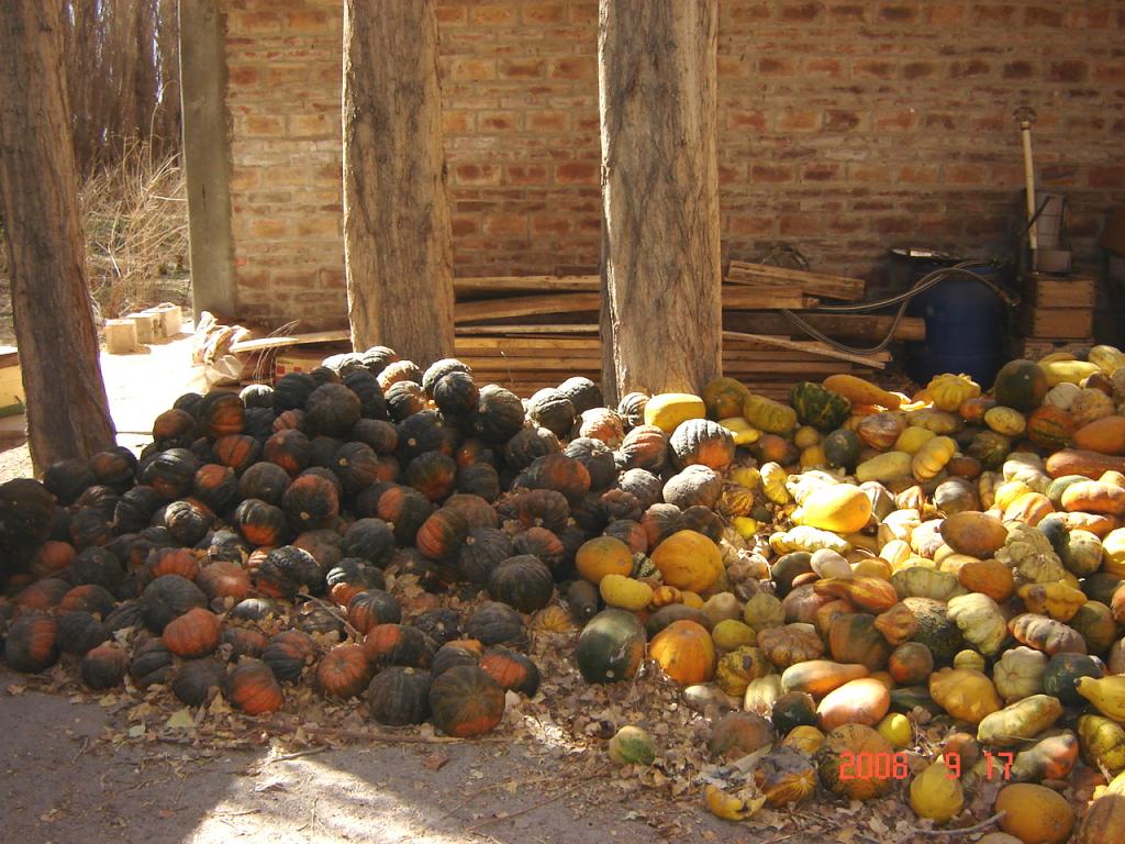 Foto de Rodeo (San Juan), Argentina