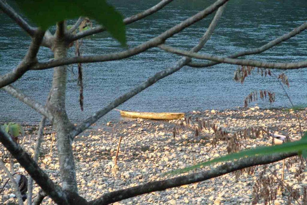 Foto de Palmar Norte (Puntarenas), Costa Rica