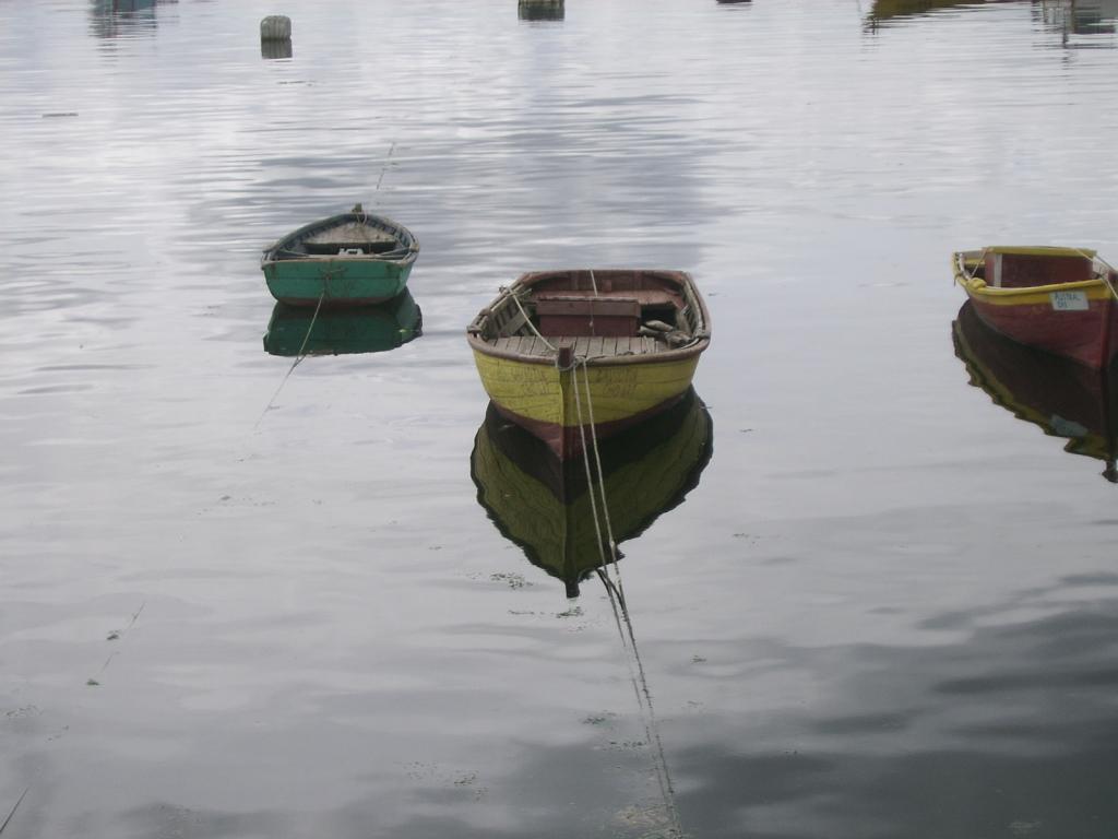 Foto de Chiloe, Chile