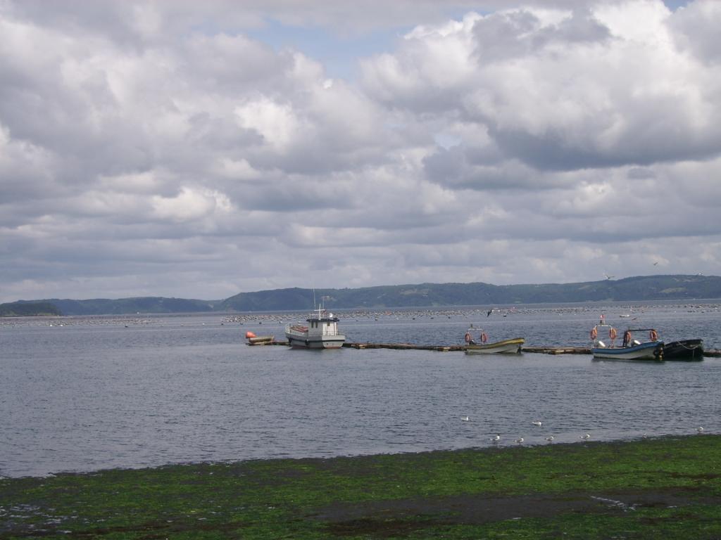 Foto de Chiloe, Chile