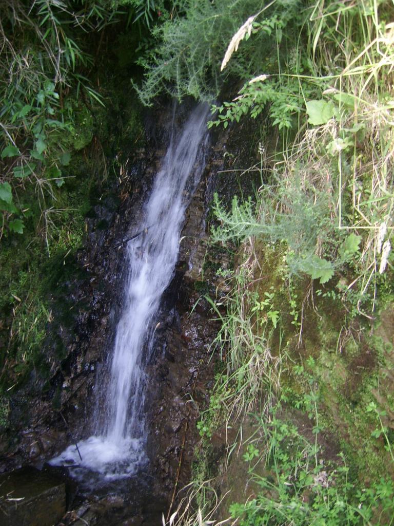 Foto de Chiloe, Chile