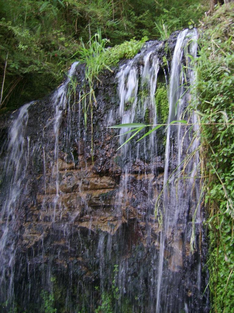 Foto de Chiloe, Chile