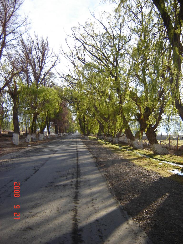 Foto de Colola (San Juan), Argentina