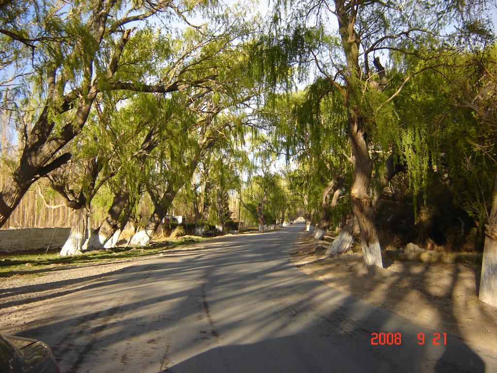 Foto de Colola (San Juan), Argentina