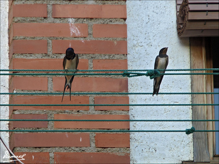 Foto de Alconchel de Ariza (Zaragoza), España