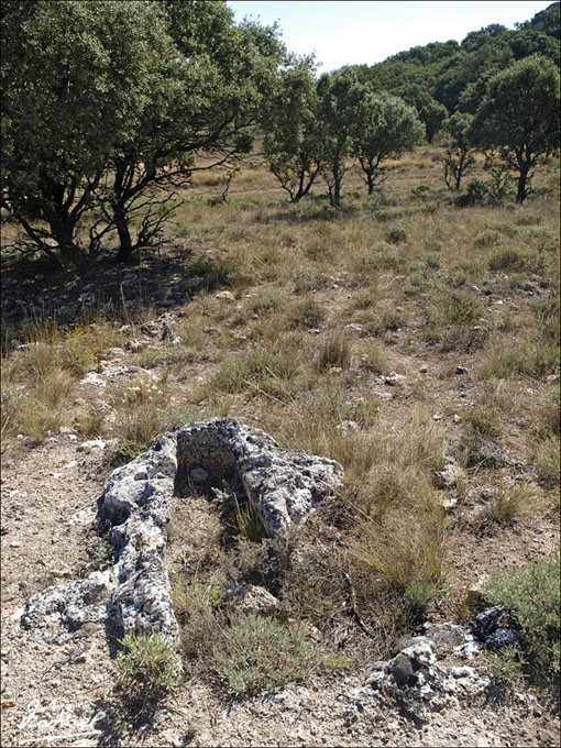 Foto de Somaen (Soria), España