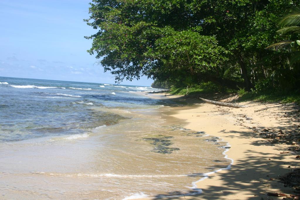 Foto de Manzanillo, Costa Rica