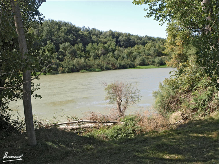 Foto de Zaragoza (Aragón), España