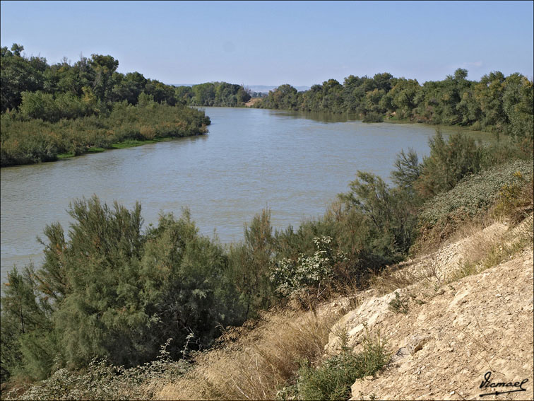 Foto de Zaragoza (Aragón), España