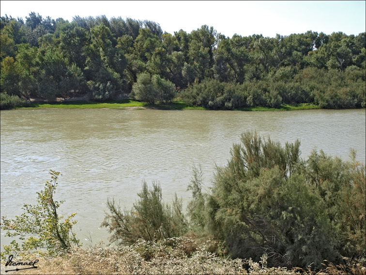 Foto de Zaragoza (Aragón), España