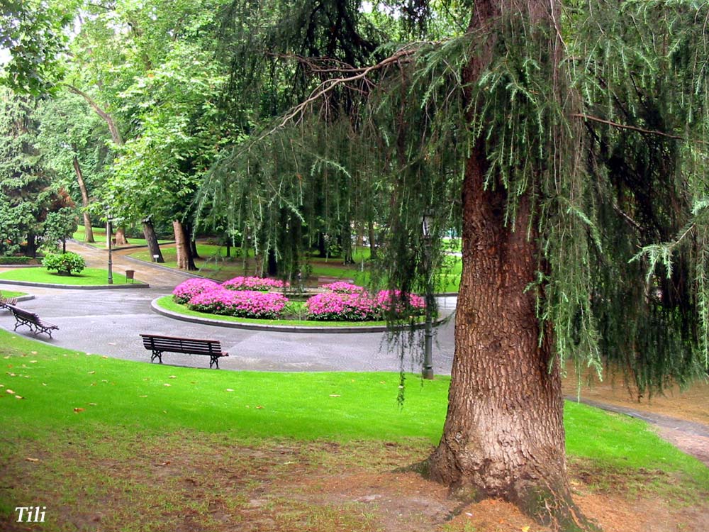 Foto de Oviedo (Asturias), España