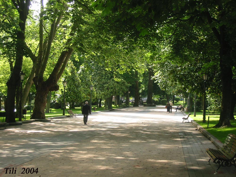 Foto de Oviedo (Asturias), España