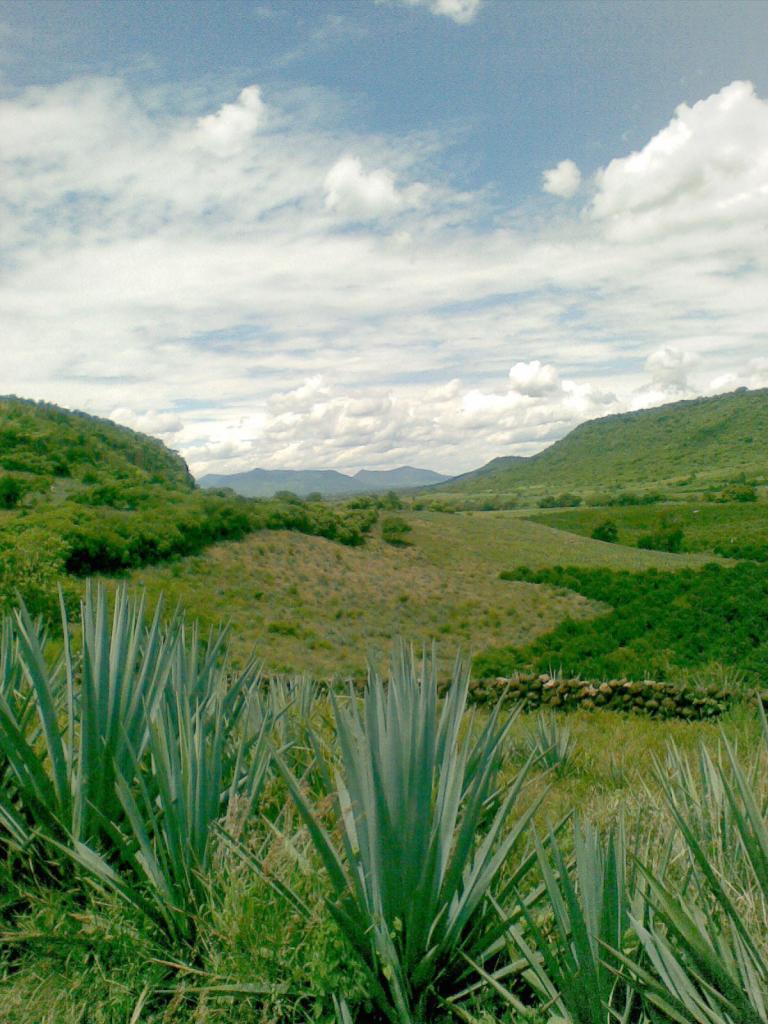 Foto de Ayotlán (Jalisco), México