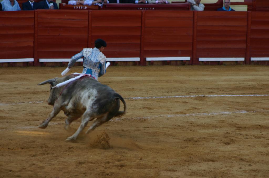 Foto de Jerez de la Frontera (Cádiz), España