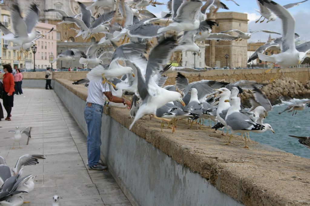 Foto de Cádiz (Andalucía), España