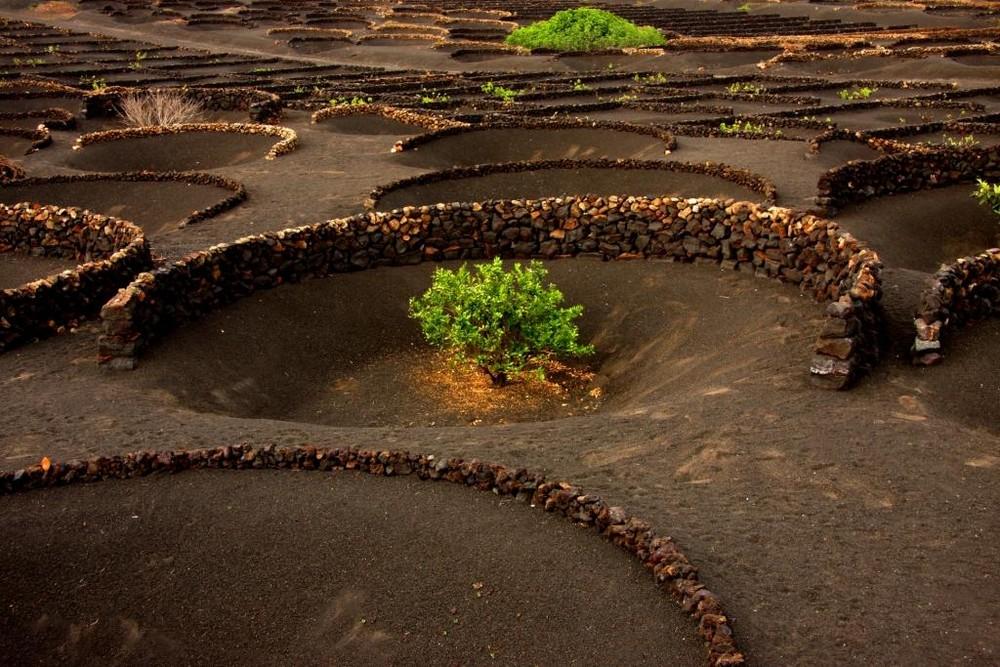 Foto de Lanzarote (Las Palmas), España