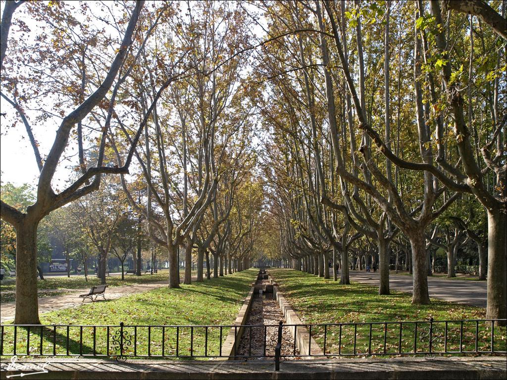 Foto de Zaragoza (Aragón), España