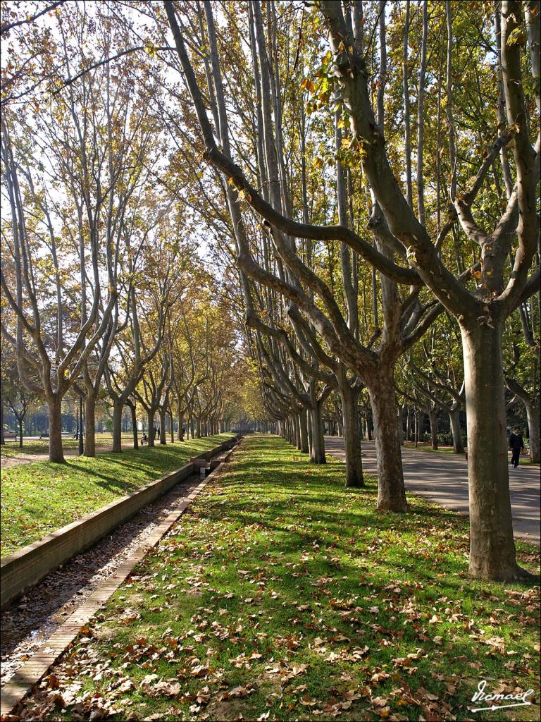 Foto de Zaragoza (Aragón), España