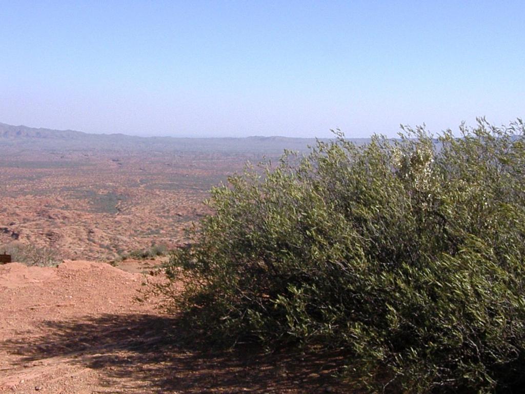 Foto de Sierra de las Quijadas (San Luis), Argentina