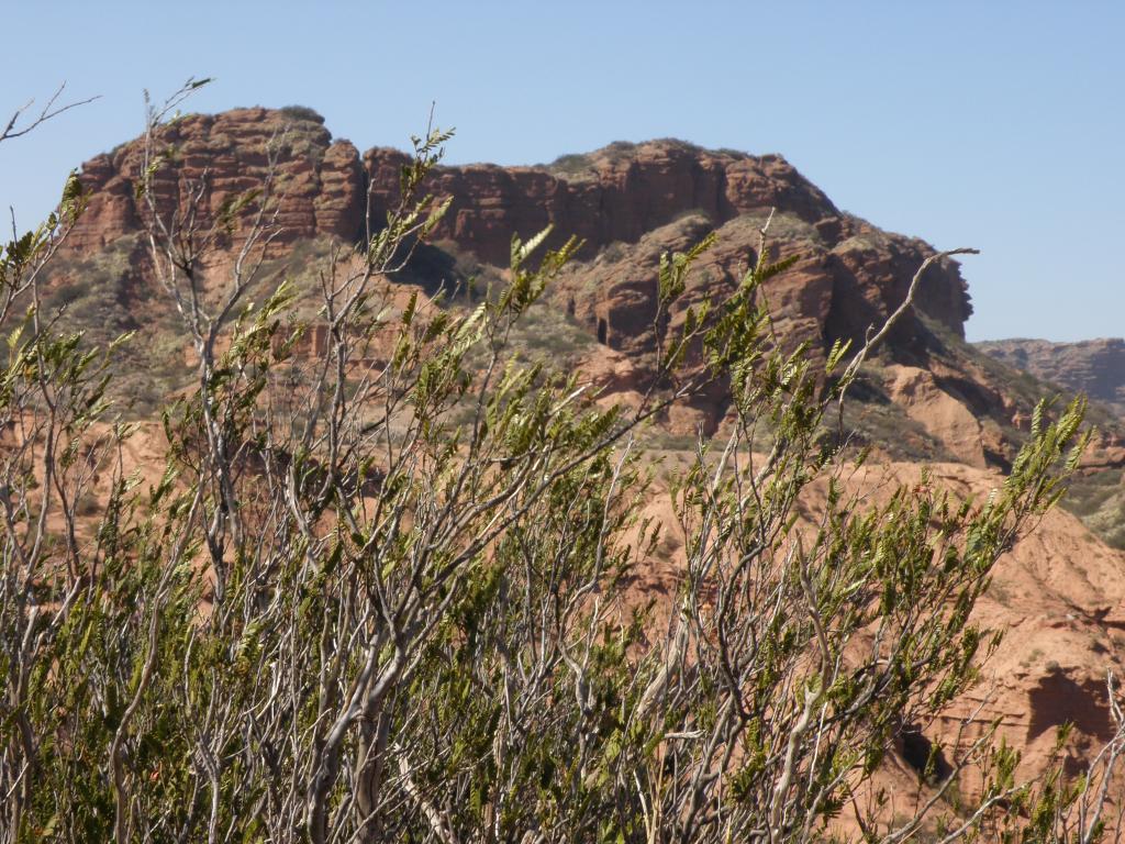 Foto de Sierra de las Quijadas (San Luis), Argentina