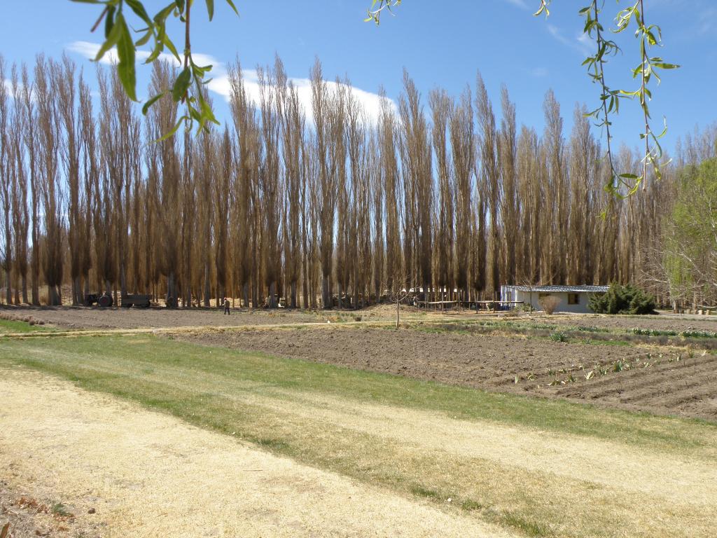 Foto de Rodeo (San Juan), Argentina