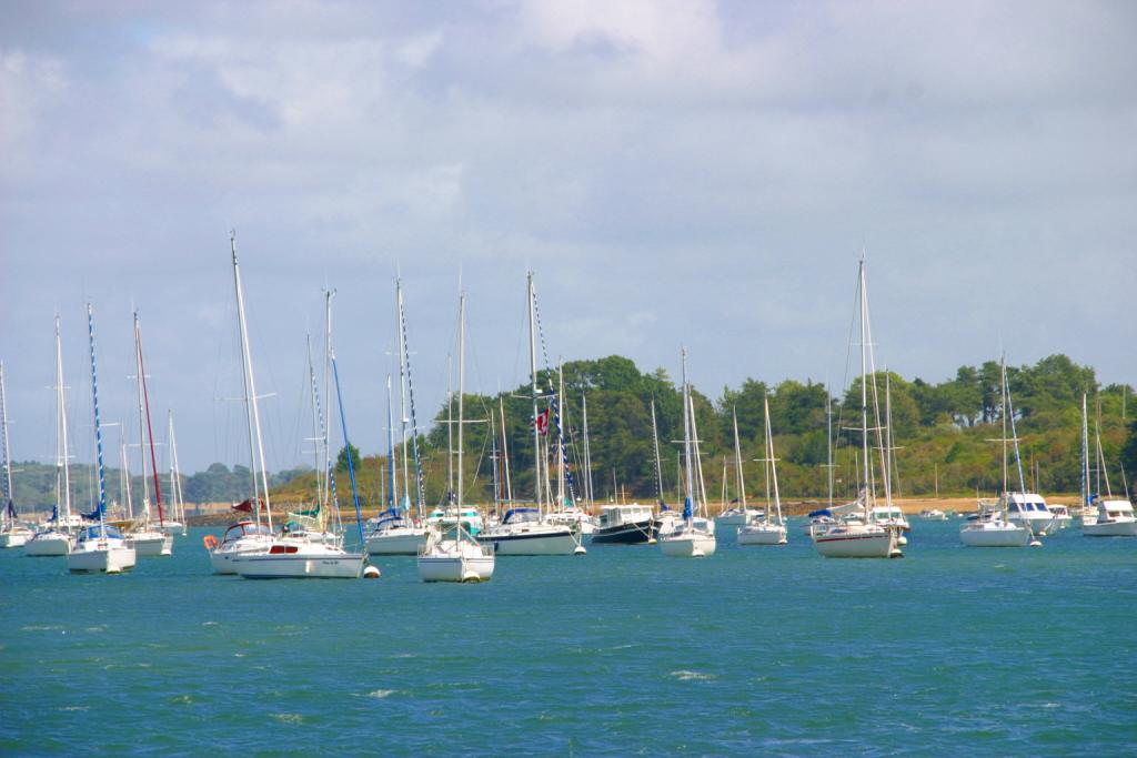 Foto de Vannes, Francia