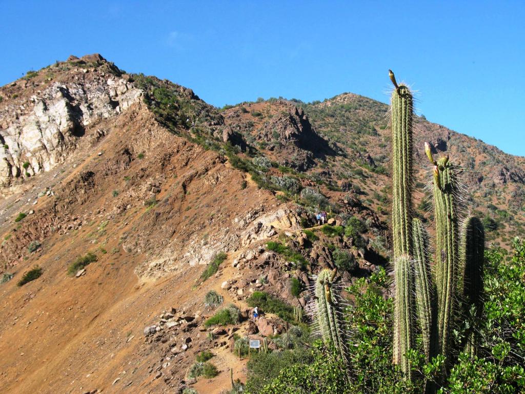 Foto de Lo Barnechea, Chile