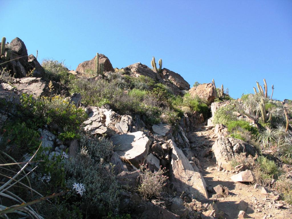 Foto de Lo Barnechea, Chile