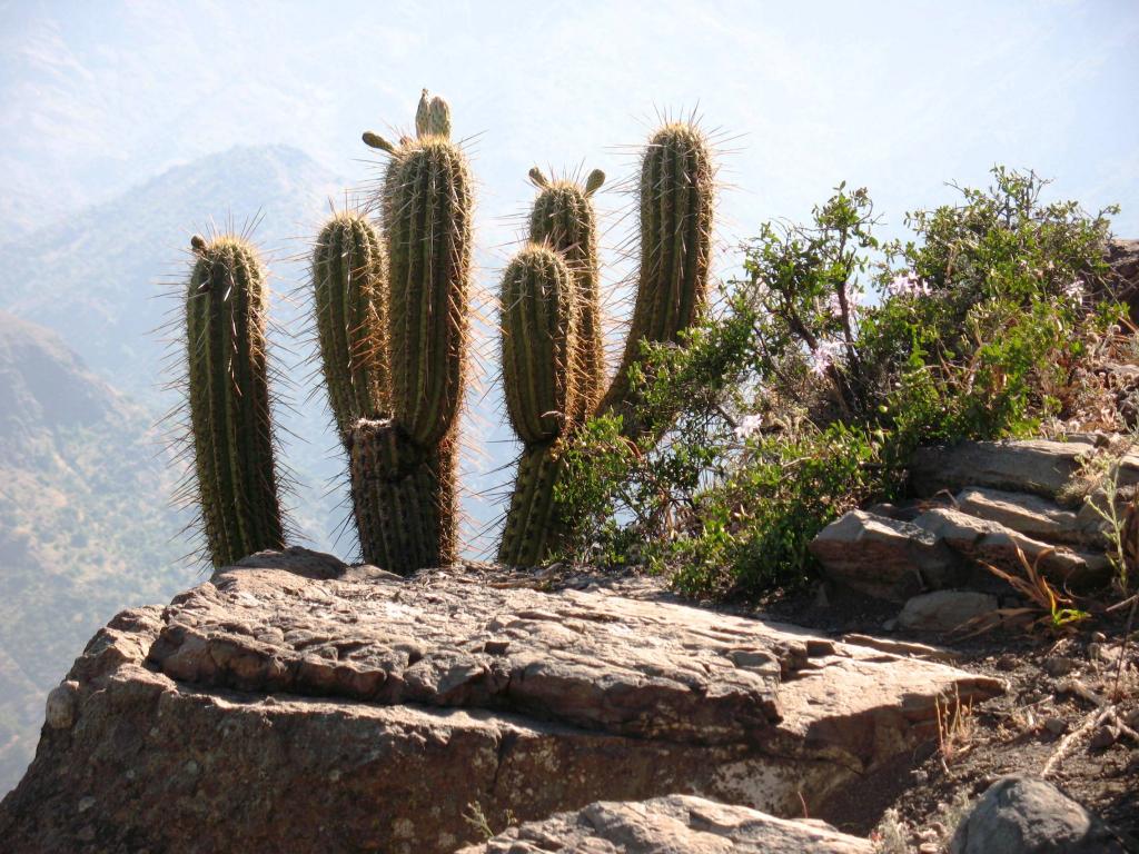 Foto de Lo Barnechea, Chile