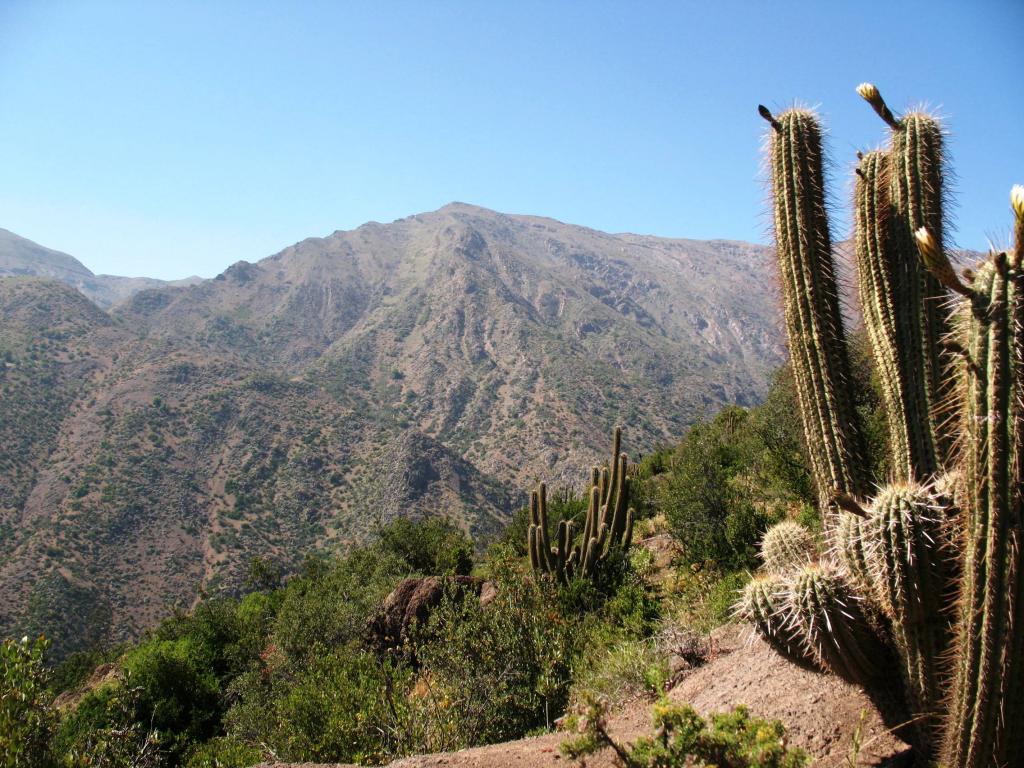 Foto de Lo Barnechea, Chile