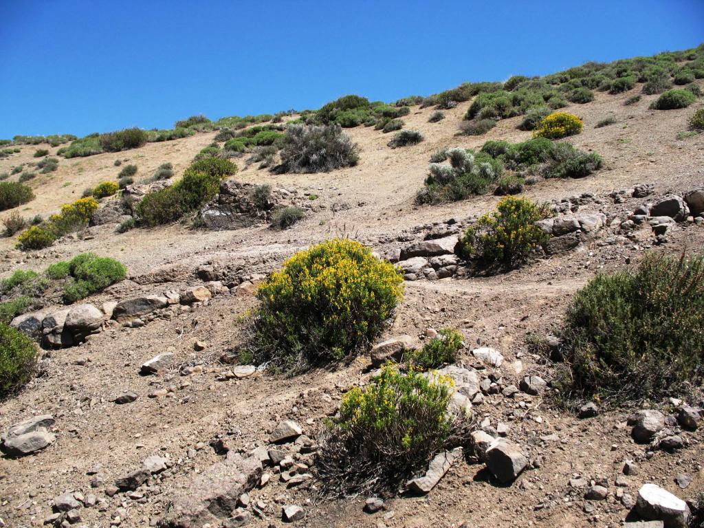 Foto de Lo Barnechea, Chile