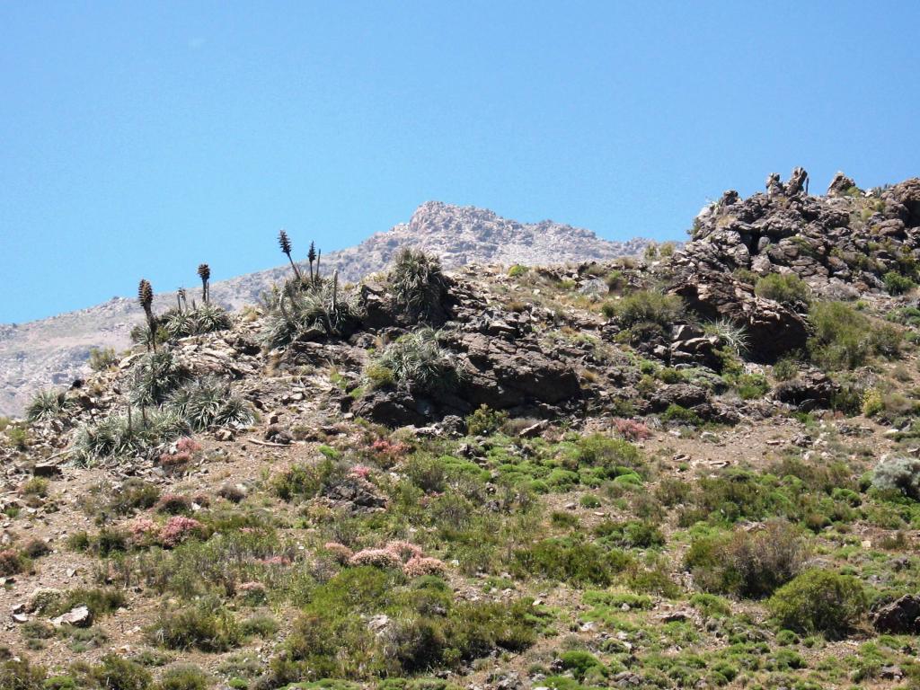 Foto de Lo Barnechea, Chile