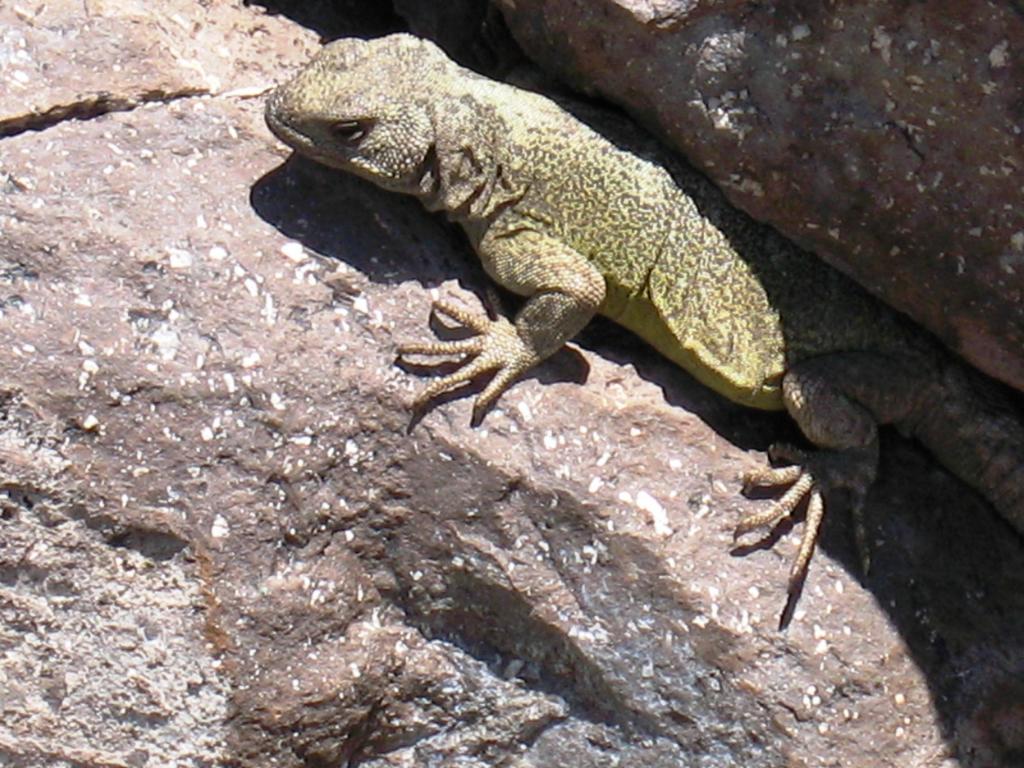 Foto de Lo Barnechea, Chile