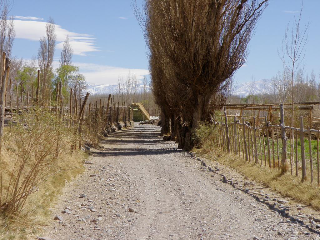 Foto de Rodeo (San Juan), Argentina