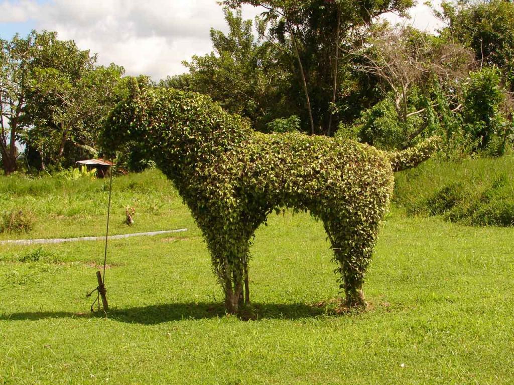 Foto de Guatuso (Alajuela), Costa Rica