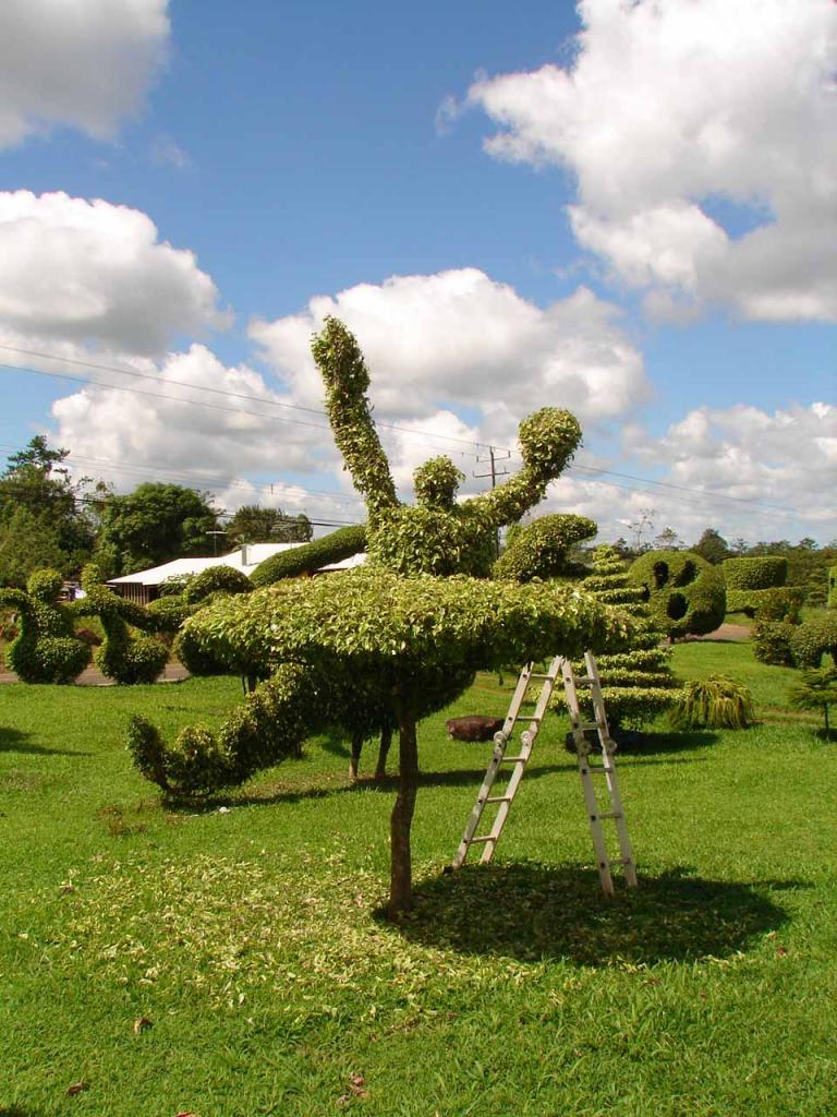 Foto de Guatuso (Alajuela), Costa Rica